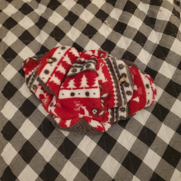 Winter dog hat with ear flaps - Picture 1 of 6